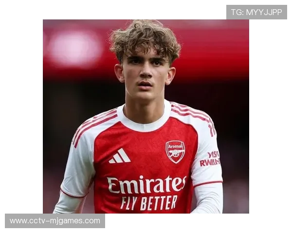 汉堡从阿森纳租借法比奥·维埃拉，增强中场技术元素